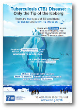 Tuberculosis (TB) Disease: Only the Tip of the Iceberg infographic